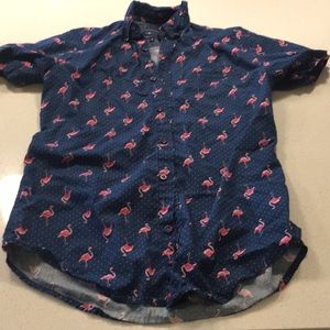 Geometrix Men’s Slim Tropical Polka Dot Flamingo